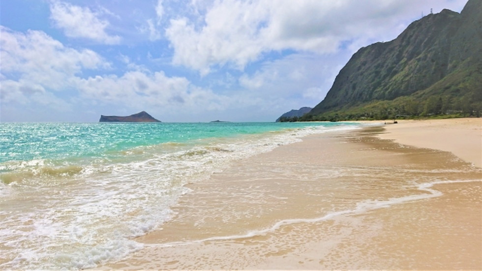 綺麗な海と浜辺が魅力的 ハワイでオススメのビーチ挙式 ハワイで格安家族挙式を挙げるならアメホリウエディング